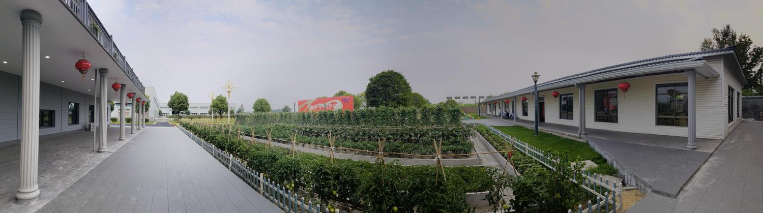 菜园地(1)(1).jpg